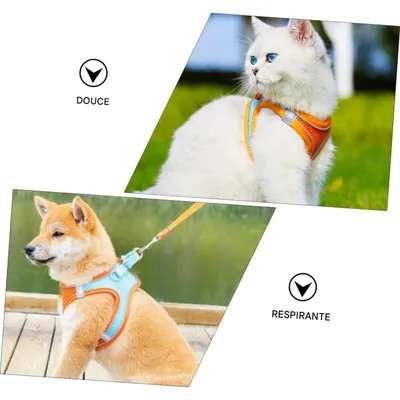FurryFusion Harnachement réfléchissant et respirant pour chats et chiens FurryFusion Harnachement réfléchissant et respirant pour chats et chiens