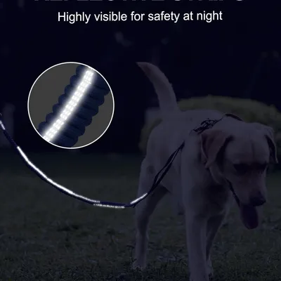 MCBOSON Bleu (Anti-Traction 4 Poignées) Laisse Élastique Chien
