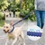 MCBOSON Bleu (Anti-Traction 4 Poignées) Laisse Élastique Chien