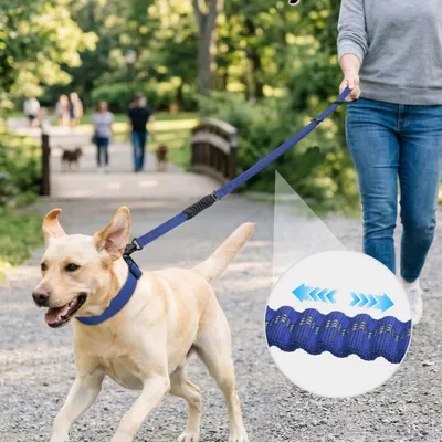 MCBOSON Bleu (Anti-Traction 4 Poignées) Laisse Élastique Chien