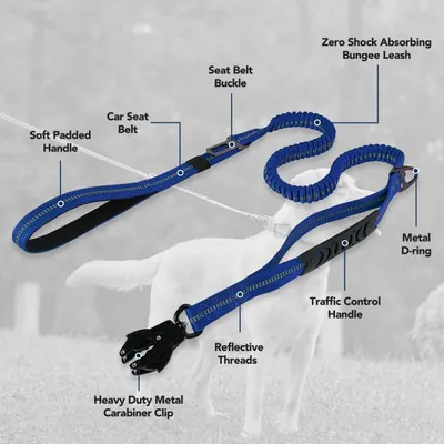 MCBOSON Bleu (Anti-Traction 4 Poignées) Laisse Élastique Chien
