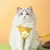FurryFusion Harnais traction accessoires cartoonesques chien chat FurryFusion Harnais traction accessoires cartoonesques chien chat