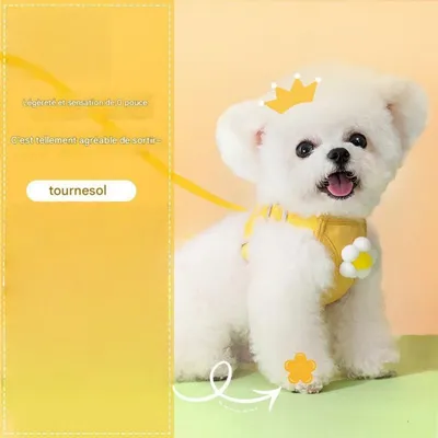 FurryFusion Harnais traction accessoires cartoonesques chien chat FurryFusion Harnais traction accessoires cartoonesques chien chat