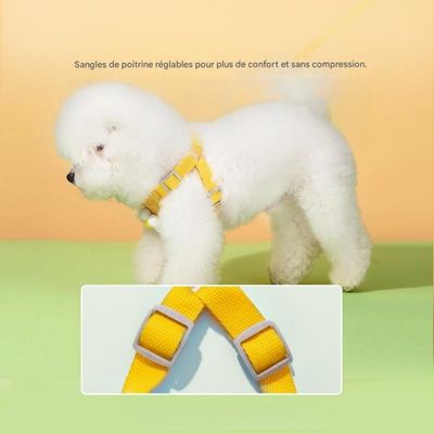 FurryFusion Harnais traction accessoires cartoonesques chien chat
