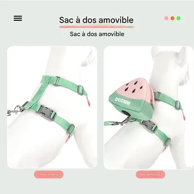 HausPets Harnachement avec sac à dos pour petits chiots