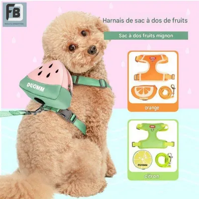 HausPets Harnachement avec sac à dos pour petits chiots