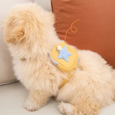 FurryFusion Harnais et laisse pour chiens et chats FurryFusion Harnais et laisse pour chiens et chats
