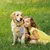 FurryFusion Tirage automatique pour chiens FurryFusion Tirage automatique pour chiens