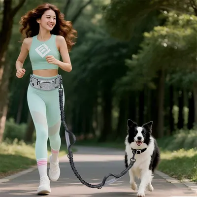 FurryFusion Dehnbarer und zugfester Hunde-Trainingsgürtel FurryFusion Dehnbarer und zugfester Hunde-Trainingsgürtel
