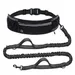 FurryFusion Ceinture d'exercice pour chiens extensible et anti - tirage