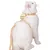 FurryFusion Corde de traction à dos pour chats et chiens FurryFusion Corde de traction à dos pour chats et chiens