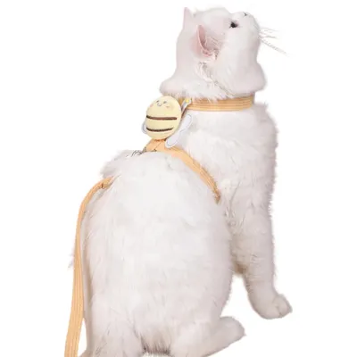 FurryFusion Corde de traction à dos pour chats et chiens FurryFusion Corde de traction à dos pour chats et chiens