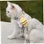 FurryFusion Corde de traction à dos pour chats et chiens FurryFusion Corde de traction à dos pour chats et chiens
