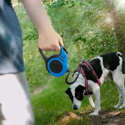 Verstellbare grüne 5m Leine Doppelschalter kleine Hunde.