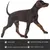 FurryFusion Ceinture d'aide pour chiens - Version 2 FurryFusion Ceinture d'aide pour chiens - Version 2