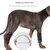 FurryFusion Ceinture d'aide pour chiens - Version 2 FurryFusion Ceinture d'aide pour chiens - Version 2