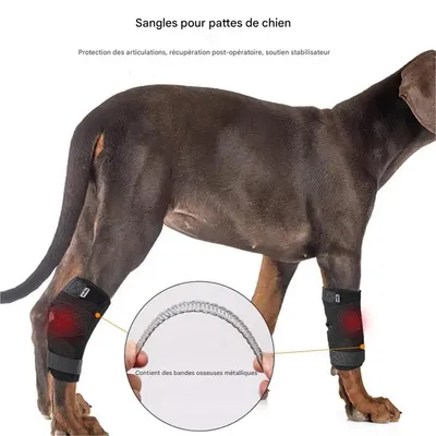 FurryFusion Ceinture d'aide pour chiens - Version 2 FurryFusion Ceinture d'aide pour chiens - Version 2