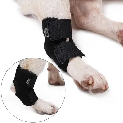 FurryFusion Ceinture d'aide pour chiens - Version 2 FurryFusion Ceinture d'aide pour chiens - Version 2