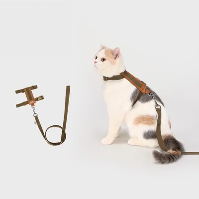 FurryFusion Harnais de promenade pour chats FurryFusion Harnais de promenade pour chats