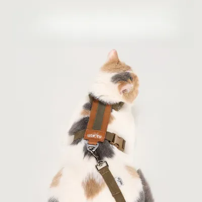 FurryFusion Harnais de promenade pour chats FurryFusion Harnais de promenade pour chats