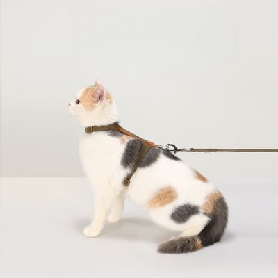 FurryFusion Harnais de promenade pour chats