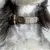 FurryFusion Lederhalsband- und Geschirrset für Hunde und Katzen FurryFusion Lederhalsband- und Geschirrset für Hunde und Katzen