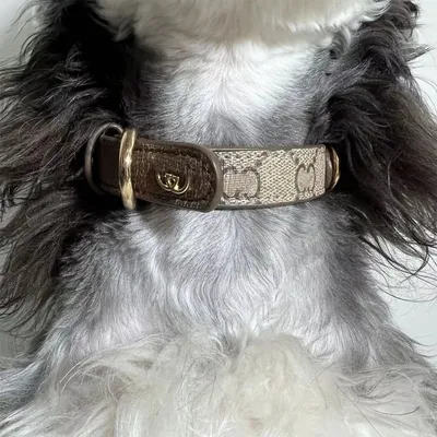 FurryFusion Lederhalsband- und Geschirrset für Hunde und Katzen FurryFusion Lederhalsband- und Geschirrset für Hunde und Katzen