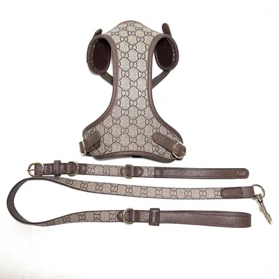 FurryFusion Lederhalsband- und Geschirrset für Hunde und Katzen FurryFusion Lederhalsband- und Geschirrset für Hunde und Katzen