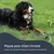 FurryFusion Poteau pour chien en fer galvanisé et chromé FurryFusion Poteau pour chien en fer galvanisé et chromé