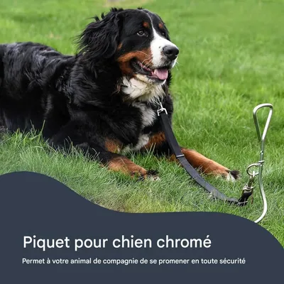 FurryFusion Poteau pour chien en fer galvanisé et chromé FurryFusion Poteau pour chien en fer galvanisé et chromé