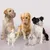 FurryFusion Masque pour chien en plastique souple FurryFusion Masque pour chien en plastique souple