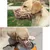 FurryFusion Masque pour chien en plastique souple FurryFusion Masque pour chien en plastique souple