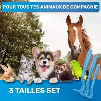 Zoomtopia Crochet à tiques 3 tailles chien chat humain sans douleur Zoomtopia Crochet à tiques 3 tailles chien chat humain sans douleur