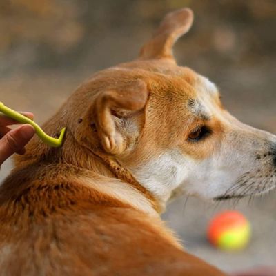 PetTribes GeekerChip Kit Extracteur Tiques 3 Pièces Vert Sans Douleur