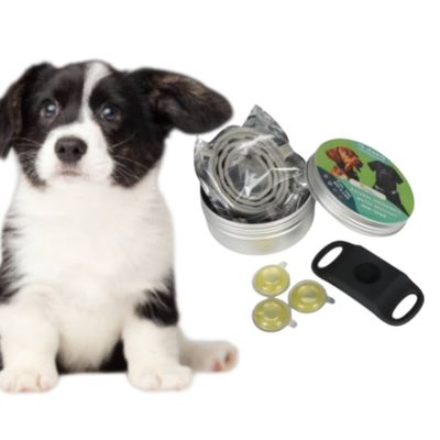 MCBOSON Noir (12 mois protection) Pendentif pour chiens