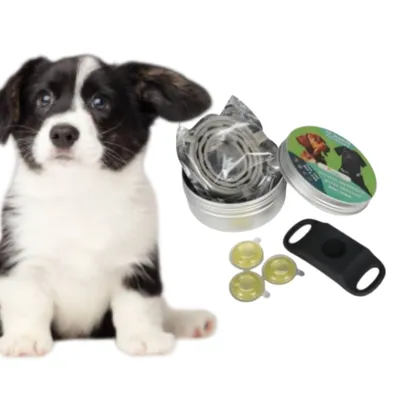 MCBOSON Noir (12 mois protection) Pendentif pour chiens