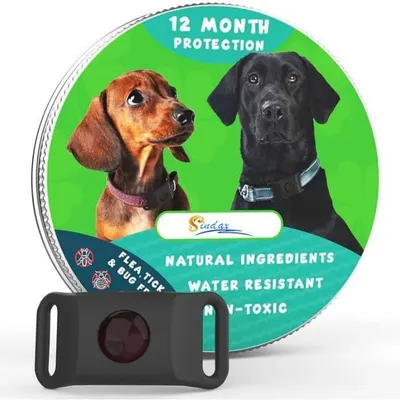MCBOSON Noir (12 mois protection) Pendentif pour chiens