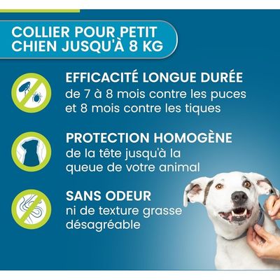 Zoomtopia Collier antipuces petits chiens moins 8kg gris 8 mois