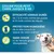Zoomtopia Collier antipuces petits chiens moins 8kg gris 8 mois Zoomtopia Collier antipuces petits chiens moins 8kg gris 8 mois