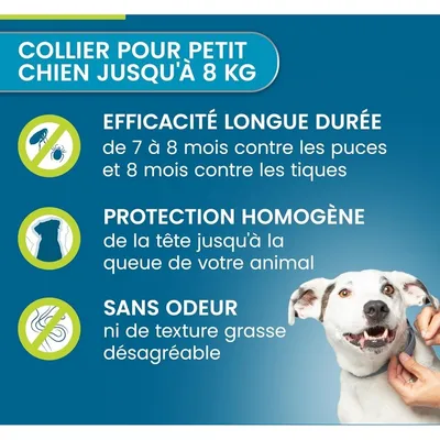 Zoomtopia Collier antipuces petits chiens moins 8kg gris 8 mois Zoomtopia Collier antipuces petits chiens moins 8kg gris 8 mois