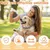 ZooVenture Collier Anti-Puces Tiques 8 Mois ZooVenture Collier Anti-Puces Tiques 8 Mois