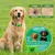 Zoomtopia Collier antiparasitaire chien naturel réglable vert