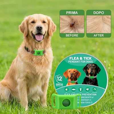 Zoomtopia Collier antiparasitaire chien naturel réglable vert
