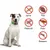 MCBOSON Natürlicher Floh- und Zeckenhalsband für Hunde und Katzen in Rot MCBOSON Natürlicher Floh- und Zeckenhalsband für Hunde und Katzen in Rot