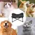 MCBOSON Lit pour chien surélevé, pliable, adapté à l'extérieur MCBOSON Lit pour chien surélevé, pliable, adapté à l'extérieur