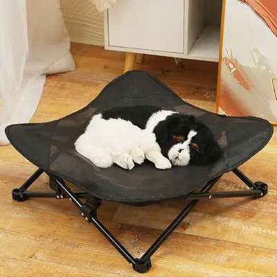 MCBOSON Lit pour chien surélevé, pliable, adapté à l'extérieur MCBOSON Lit pour chien surélevé, pliable, adapté à l'extérieur