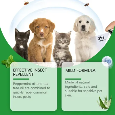 YEGBONG Spray anti-puces tiques chat chien naturel menthe tea tree YEGBONG Spray anti-puces tiques chat chien naturel menthe tea tree