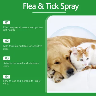 YEGBONG Spray anti-puces tiques chat chien naturel menthe tea tree YEGBONG Spray anti-puces tiques chat chien naturel menthe tea tree