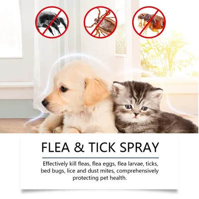 YEGBONG Spray anti-puces tiques chat chien naturel menthe tea tree YEGBONG Spray anti-puces tiques chat chien naturel menthe tea tree