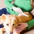 FurryFusion Peigne anti-puces pour chats et chiens FurryFusion Peigne anti-puces pour chats et chiens